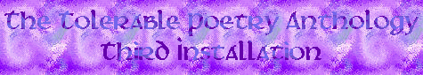 Tolerable Poetry Anthology, Third Installation