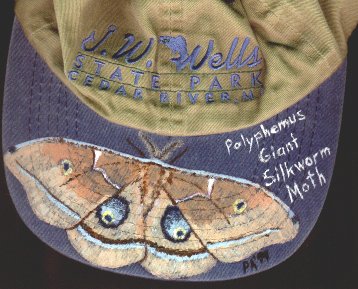 fabric art on hat brim.