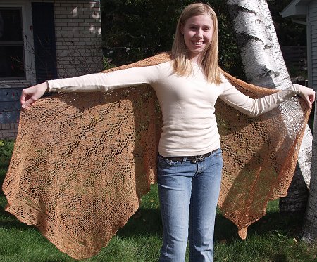 Stole shawl lace