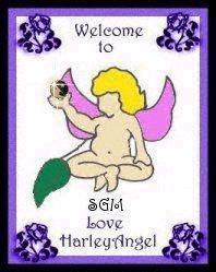 SGM welcome7.jpg (13840 bytes)