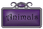 animals.gif (5577 bytes)