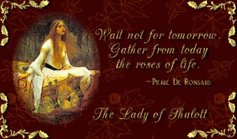 card.jpg (24829 bytes)