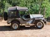 Jeep 1952