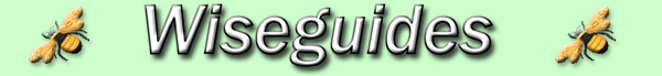 Wiseguides Home