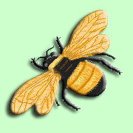 Wiseguides Bee