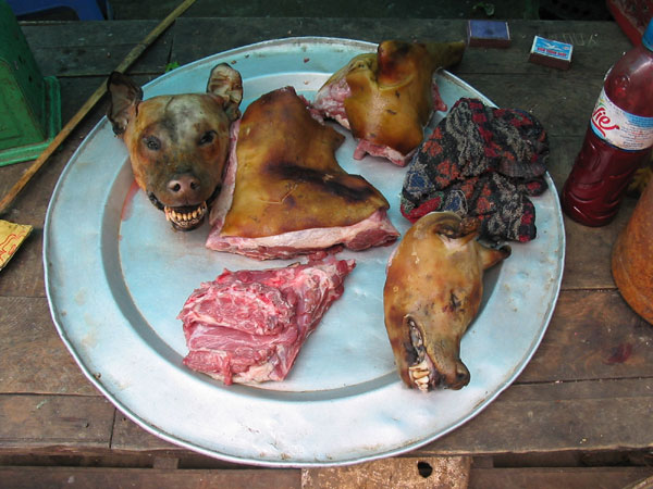 Dog Meat