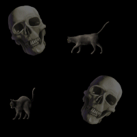 black cats and skulls