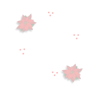 poinsetta background