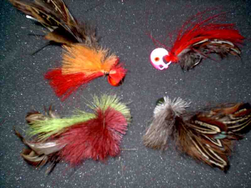 Group of a few N'thing Fanci lures.