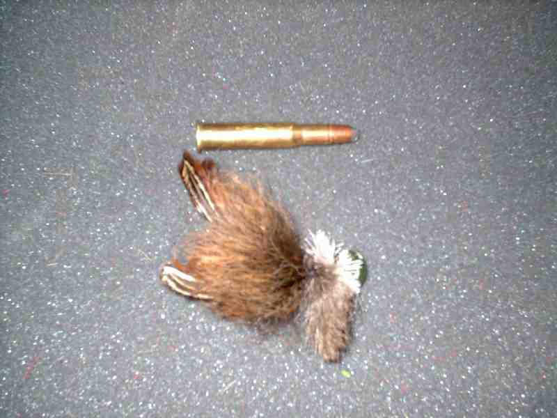 Size comparison of N'thing Fanci lure.