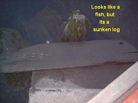 Picture of a sunken log retreived.
