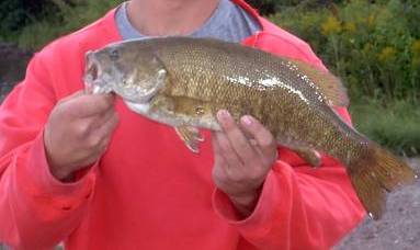Picture of a nice smallmouth bass 19