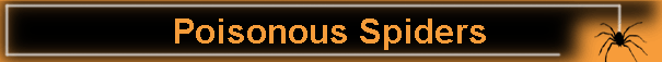 Poisonous Spiders