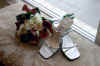 flowers_n_shoes.jpg (102604 bytes)