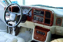 Burl Dash View.jpg (44106 bytes)