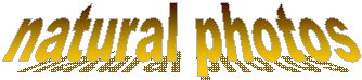 natural photos