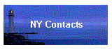 NY Contacts