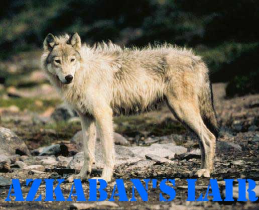 Venture into the Lair...