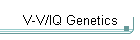 V-V/IQ Genetics
