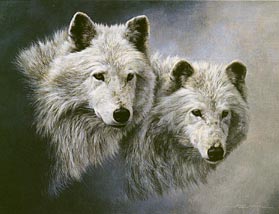 explore Madam Moon's Dark Wolf Spirit