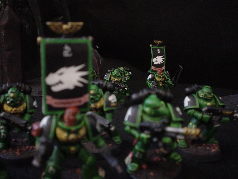 My Salamanders