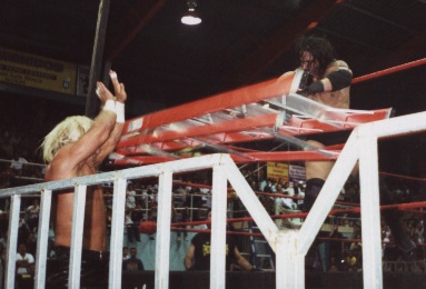 Ricky drop the ladder over Shane.