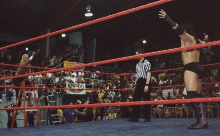 Shane & Ricky in a Ladder Match.