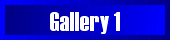 Go Back to the 1st Gallery