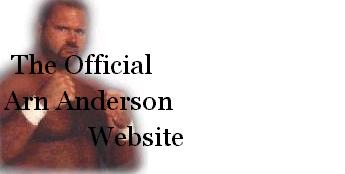 Arn Anderson