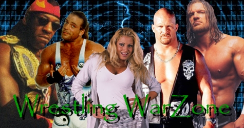 Wrestling War Zone