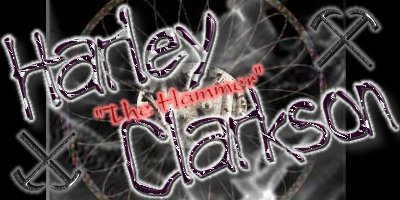 Logo-Clarkson03.jpg (27922 bytes)