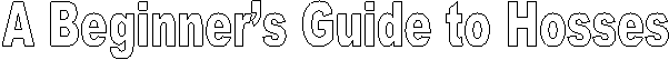 A Beginner’s Guide to Hosses