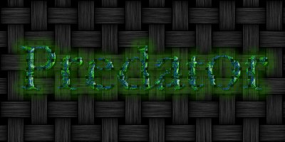 Logo-Predator.jpg (17711 bytes)