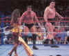 WWF27.jpg (48968 bytes)
