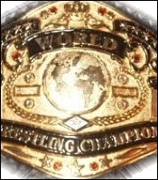 PWF Cruiserweight Championship