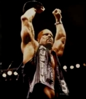 Stone Cold Steve Austin