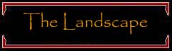 The Landscape