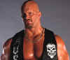 WWF STONE COLD.jpg (10880 bytes)