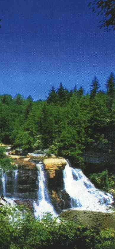 BLACKWATER FALLS
