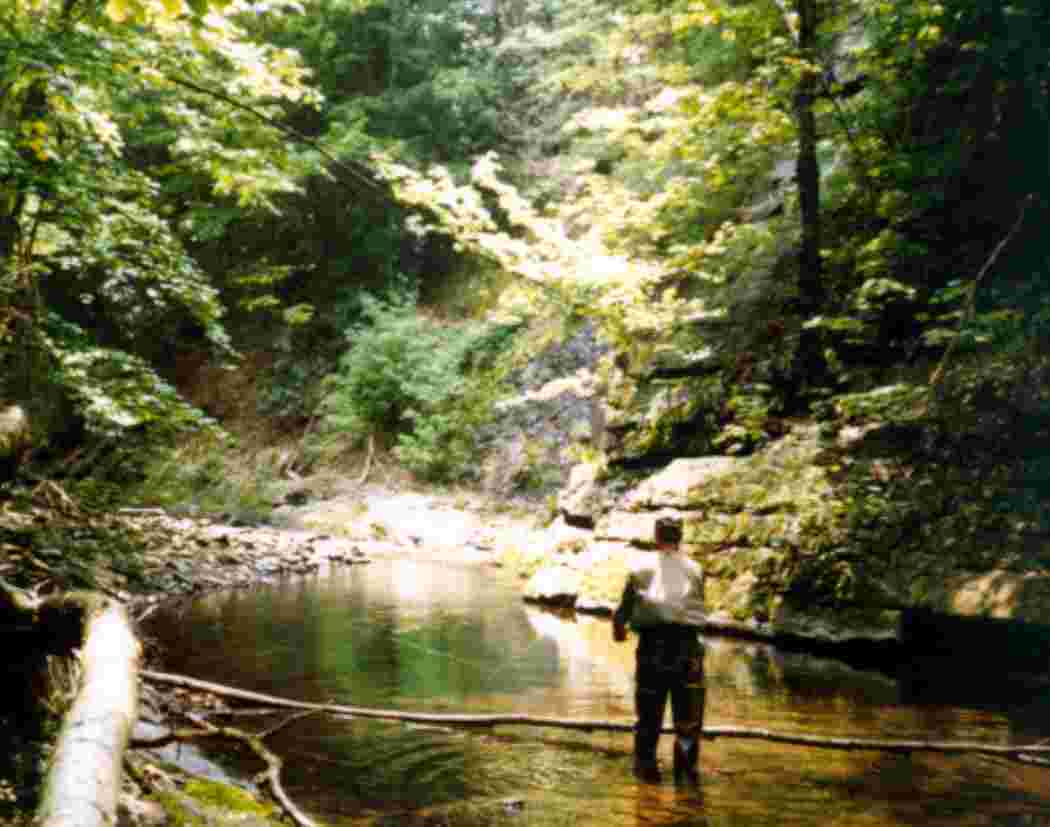 Small stream fishing