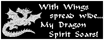 My Dragon Spirit Soars!