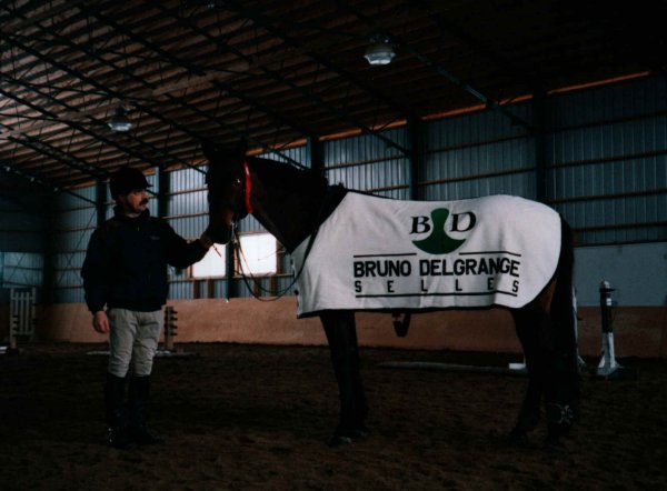 manege-int.jpg (294818 octets)