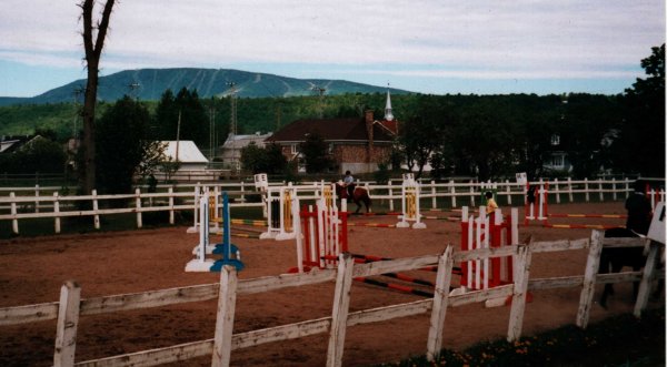 manege1.jpg (45441 octets)