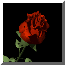 ���� ���� .. ���� 