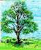 {tree}