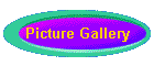 Picture Gallery