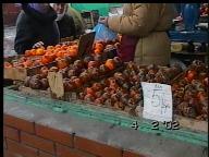 moscow_feb37.jpg (8142 bytes)