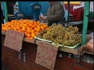 moscow_feb39.jpg (8263 bytes)