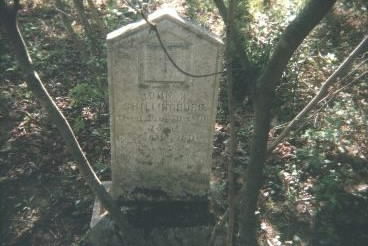 Shillingburg Grave