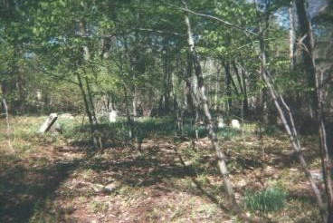 a view of the cemetery